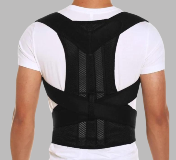 Posture Support Belt